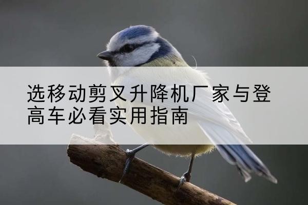 勐腊电动升降机厂家-选移动剪叉升降机厂家与登高车必看实用指南