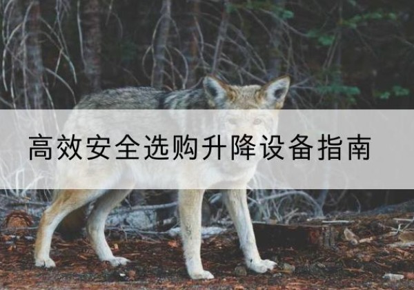 勐腊升降货梯厂家推荐-*安全选购升降设备指南