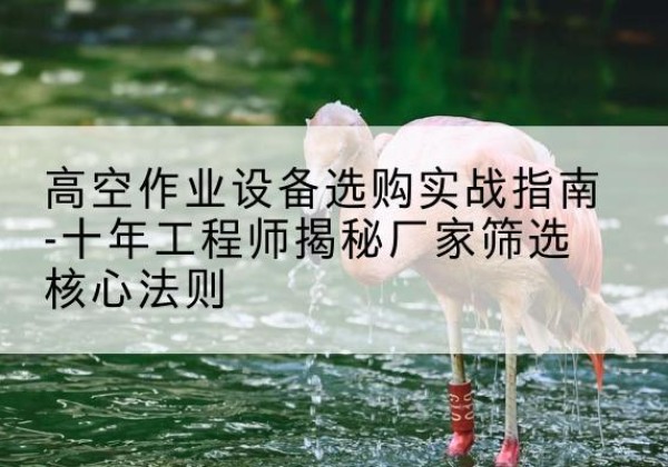勐腊剪叉式升降机厂家-高空作业设备选购实战指南-十年工程师揭秘厂家筛选核心法则